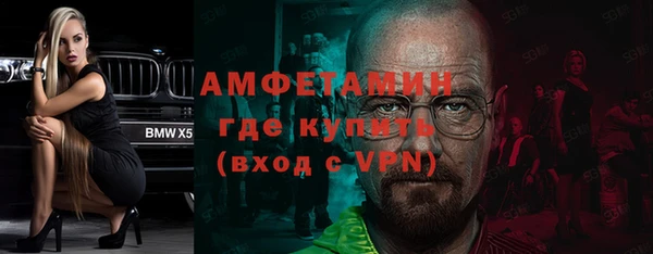 крисы Абаза