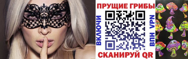 купить  сайты  Нахабино  Псилоцибиновые грибы Psilocybe 